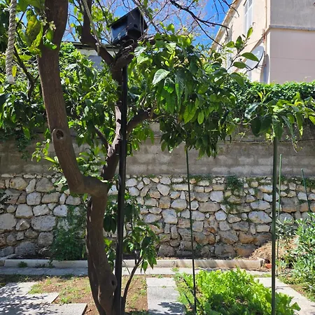 Mery 1 - Private With Bathroom Dubrovnik