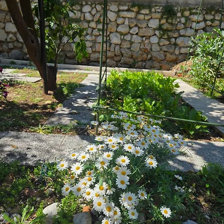 Mery 1 - Private With Bathroom Dubrovnik